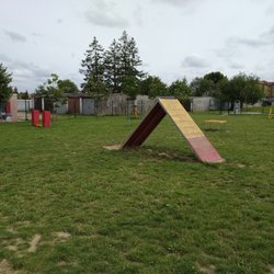 Plac Zabaw dla Psów Agility - Plac zabaw dla psów Agility