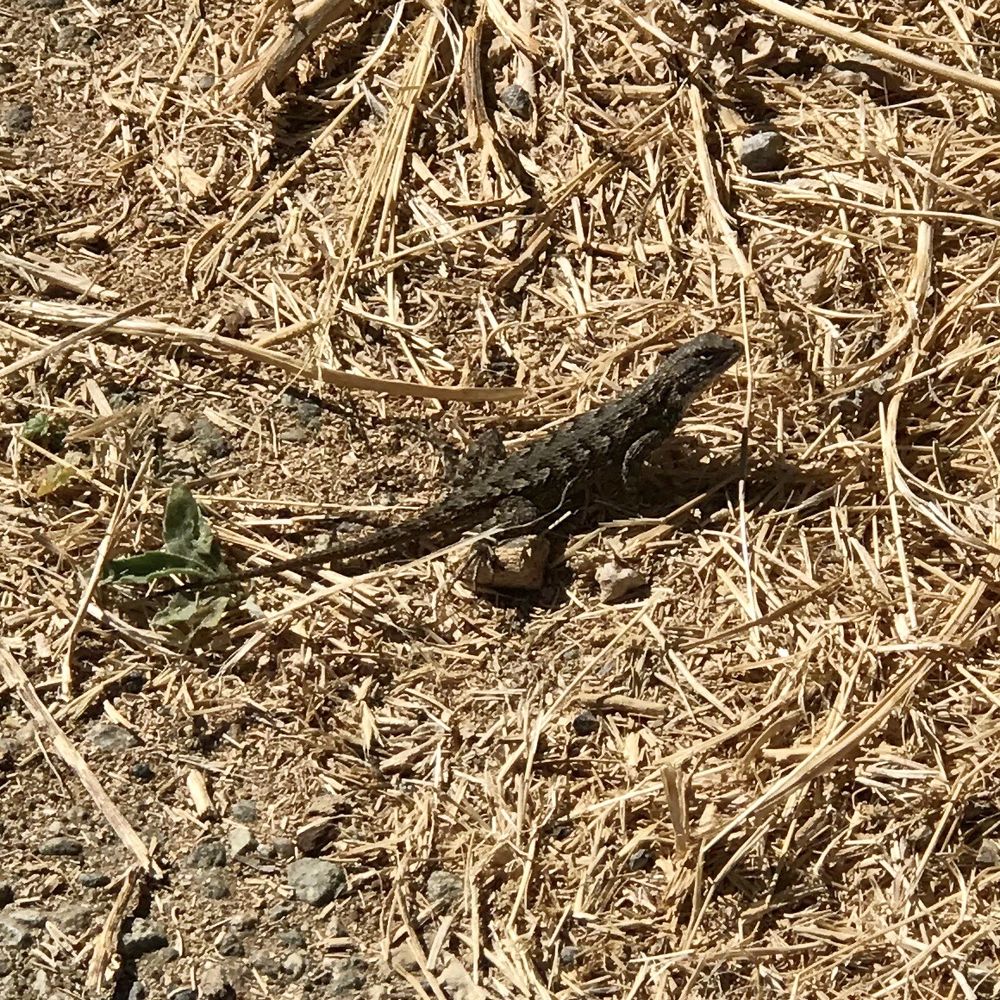 Crossing paths to say hello