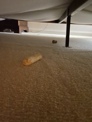 The Shire Woodstock by null