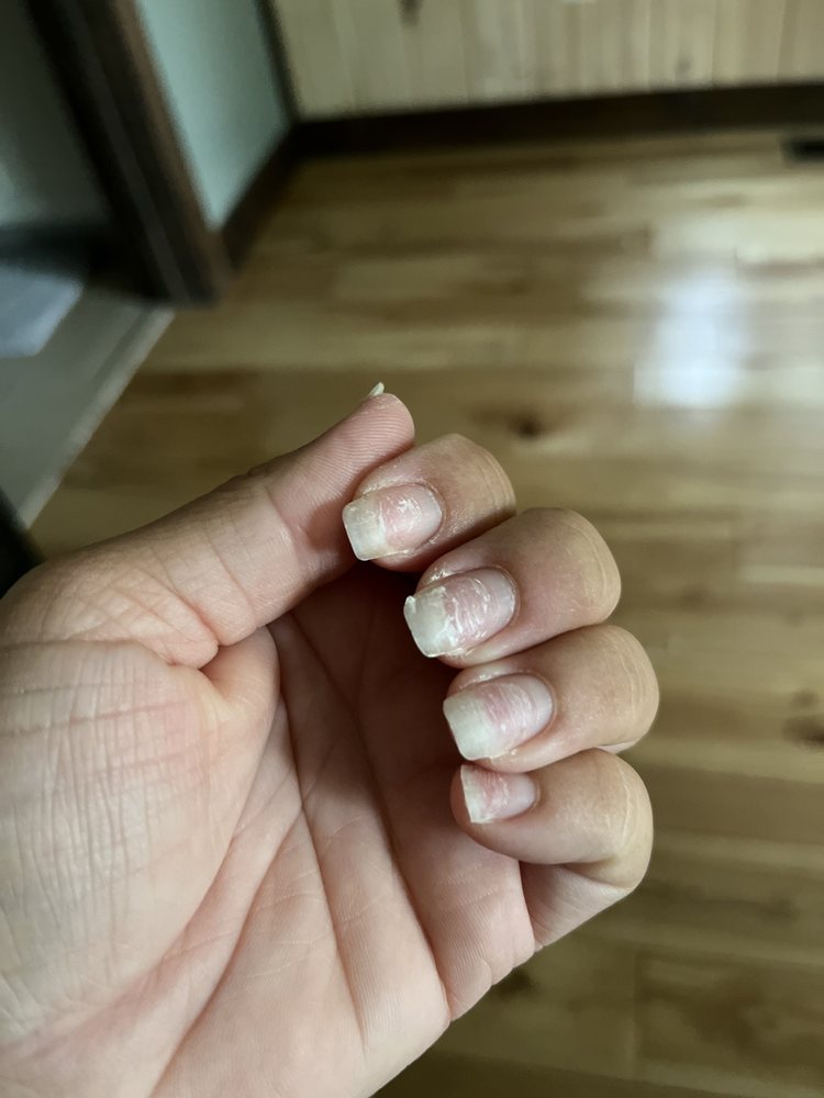 Posh Nail & Spa Logo
