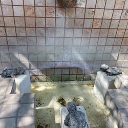 Edna's Eatery - Absolutely stunning fountain near the eateries patio.