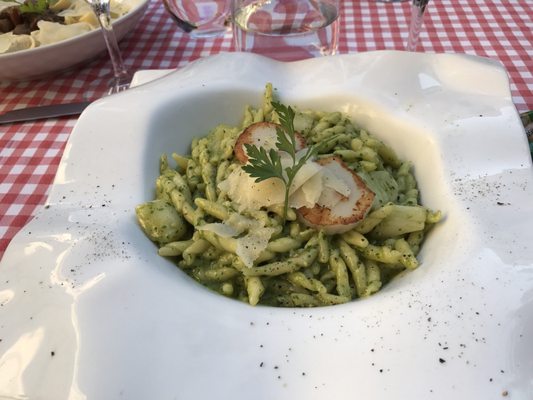 Terra di Vino by null