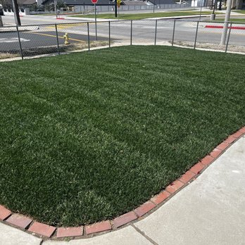 All Professional Landscape - After - Irrigation Near Me All Professional Landscape - After - Irrigation Near Me
