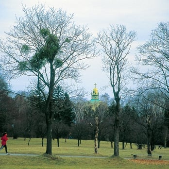Steinhofgründe - Parks Near Me - Vienna, 9
