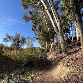 East Shepherd Canyon - Hiking Near Me - San Diego, California East Shepherd Canyon - Hiking Near Me - San Diego, California