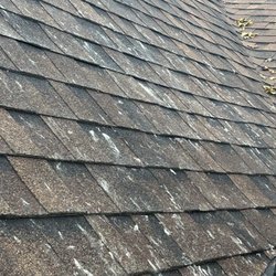 The Chimney Sweep - Concrete splattered all over a brand new roof we told them to please protect.