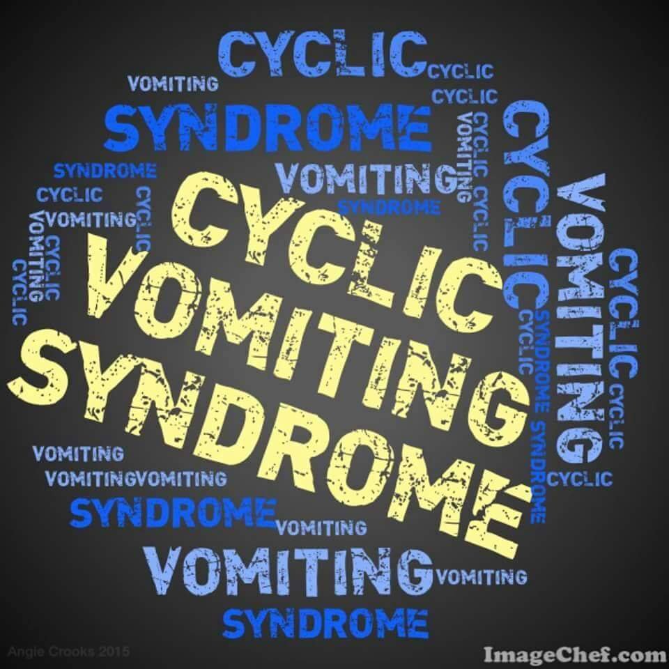 SHENANDOAH COMMUNITY HEALTH WINCHESTER Updated August 2024 1330