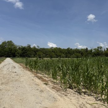 Fishers AgriPark - Farms Near Me - Fishers, Indiana