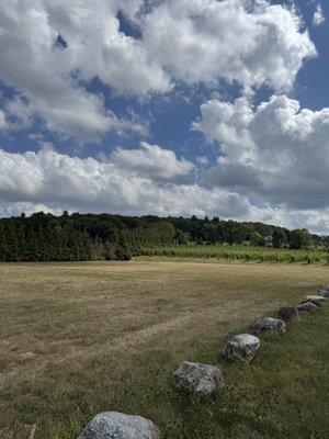Belkin Family Lookout Farm - U-Pick Orchard - Taproom, Outdoor Dining and Market by null
