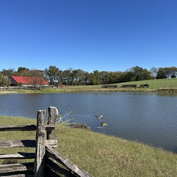 Gentry's Farm - Pond - Farms Near Me - Franklin, Tennessee