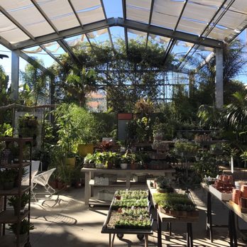 Flora Grubb Gardens - Nurseries & Gardening Near Me - San Francisco, California