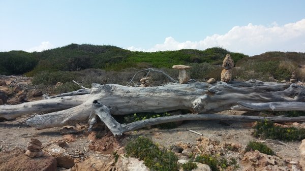 Riserva naturale orientata Oasi Faunistica di Vendicari by null