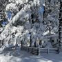 Photo of Hon-Dah RV Park
