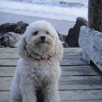 Forks 101 Rv Park - Have a pet go elsewhere. The pets are more friendly than management. - RV Parks Near Me - Forks, Washington