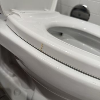 Flamingo Las Vegas - Throw up on the seat - Hotels Near Me - Las Vegas, Nevada