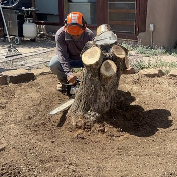 Henry’s Tree Experience - This tree is being cut at the base leaving a stump which will be removed by using a stump grinder. - Landscape Architects or Designers Near Me