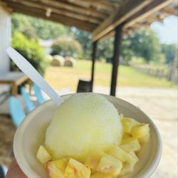 Waves Shave Ice - Piña Colada- needs more of that syrup & fruits