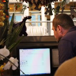 Orchid Dry Cleaners