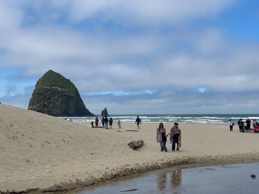 Oswald West State Park by null