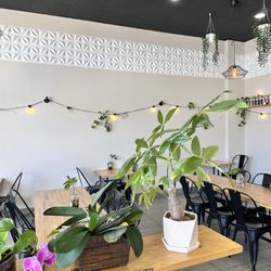 Monstera Boba Cafe - Indoor seat