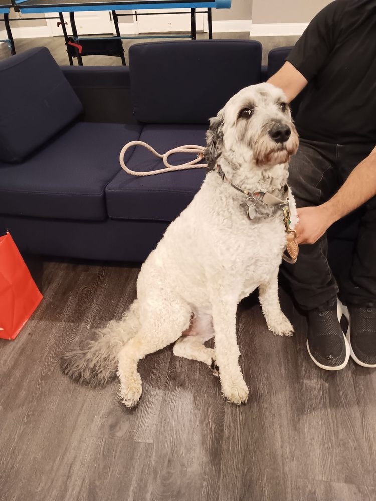 The Sylvia Brafman Mental Health Center - grief counselor in Cumming, GA