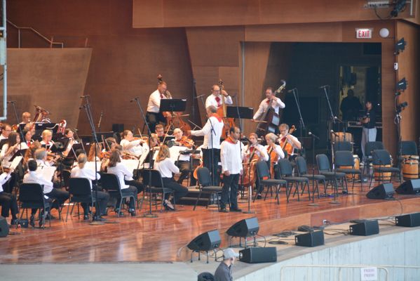 Jay Pritzker Pavilion by null