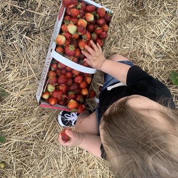 Thompson Farm - Pumpkin Patches Near Me - Bristol, Wisconsin