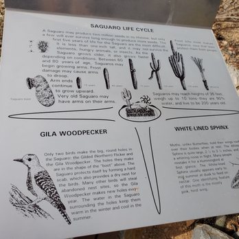 South Mountain Park - Parks Near Me - Phoenix, Arizona