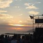 Photo of Surf Rodeo