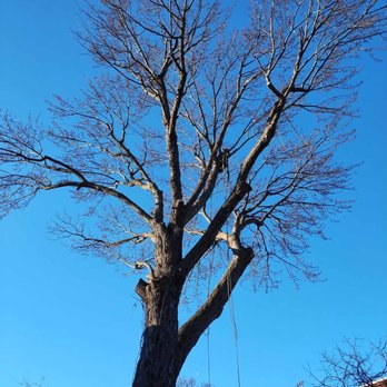 Tree Keepers - Tree Services Near Me - Kahnawake, Quebec Tree Keepers - Tree Services Near Me - Kahnawake, Quebec