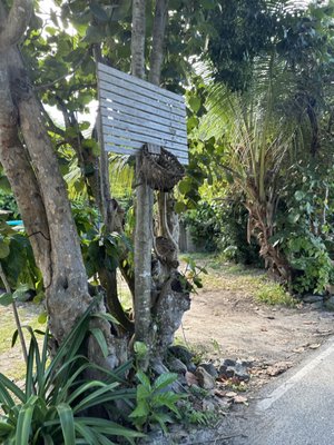 Maho Bay Beach by null