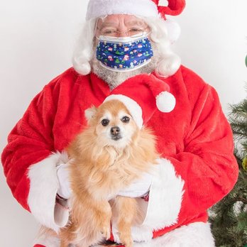 Clearwater Dog Training - Pet Training Near Me - Lakewood, Colorado Clearwater Dog Training - Pet Training Near Me - Lakewood, Colorado