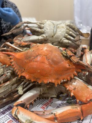Captain Pell's Fairfax Crabhouse by null