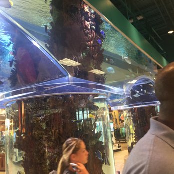 Scheels - Aquarium inside near the cash registers - Sports Wear Near Me - Springfield, Illinois