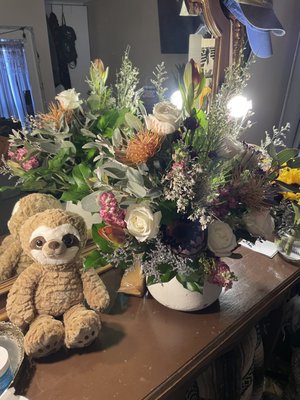 Petal Pushers by null