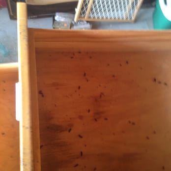 Security Public Storage - Drawer with rat feces inside (it was everywhere) - Self Storage Near Me - Pittsburg, California Security Public Storage - Drawer with rat feces inside (it was everywhere) - Self Storage Near Me - Pittsburg, California