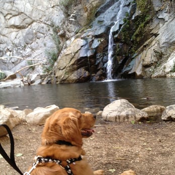 Sturtevant Falls - Chillin! - Hiking Near Me Sturtevant Falls - Chillin! - Hiking Near Me