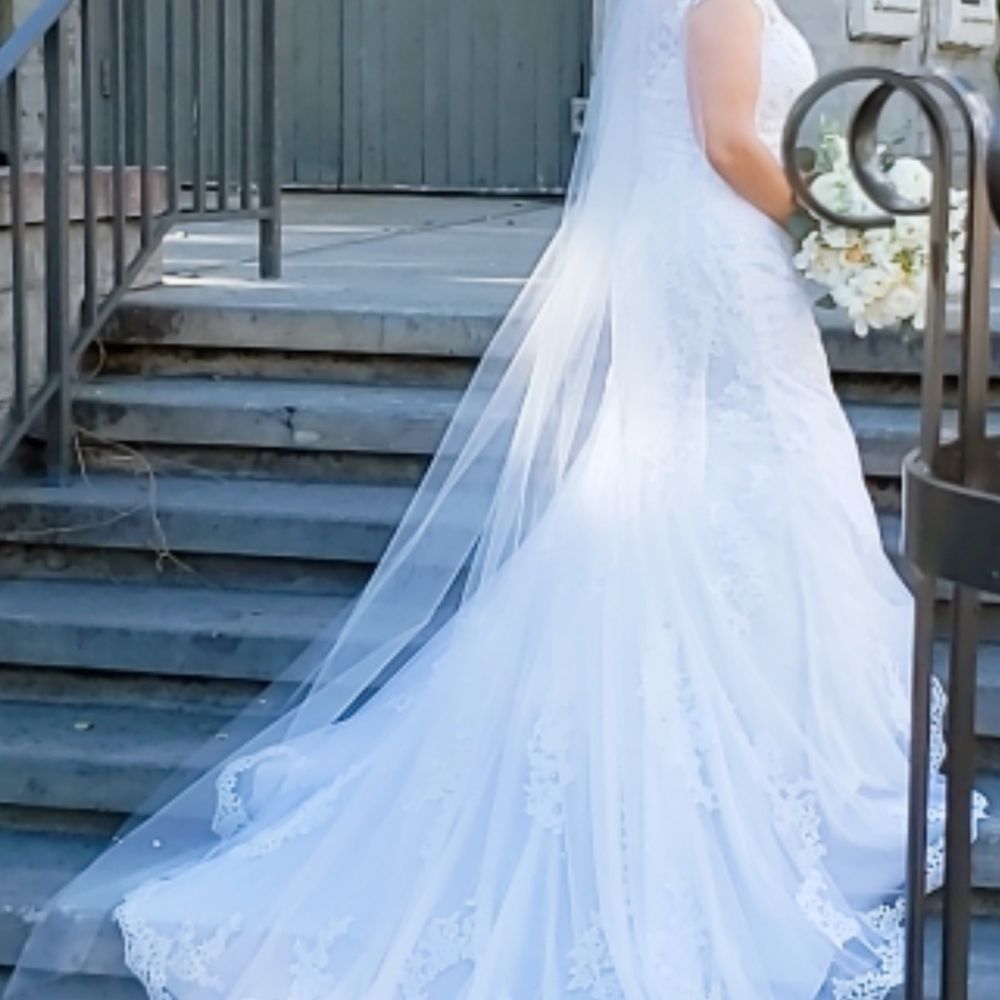 Tomato Wedding - Other side view of dress train and veil. - Bridal Near Me - Buena Park, California Tomato Wedding - Other side view of dress train and veil. - Bridal Near Me - Buena Park, California