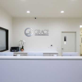 Grace Animal Hospital - Veterinarians Near Me - Downey, California Grace Animal Hospital - Veterinarians Near Me - Downey, California