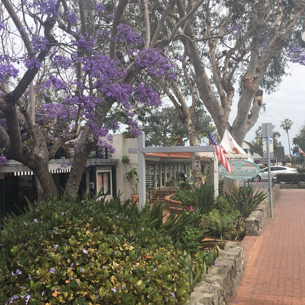 Charnholm & Associates - Side walk on Camino Del Mar - Real Estate Services Near Me - Del Mar, California