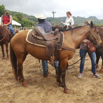 Circle M Ranch - Sweet Bailey - Horseback Riding Near Me - Wailuku, Hawaii Circle M Ranch - Sweet Bailey - Horseback Riding Near Me - Wailuku, Hawaii