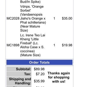 Norman's Orchid Nursery - I truly expected more for these prices. I get fully grown healthy Phals at my local market. I should've known better. - Nurseries & Gardening Near Me - Montclair, California