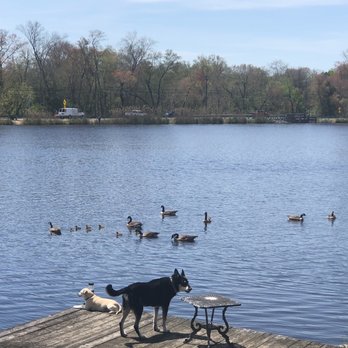 Marcacci Meats - a dog and ducks on a dock - Meat Shops Near Me - Vineland, New Jersey