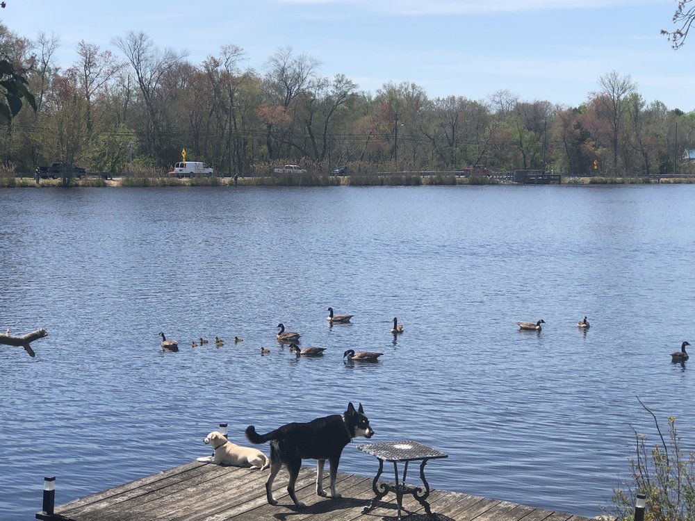 MARCACCI MEATS Updated April 2024 16 Photos & 10 Reviews 1159 N