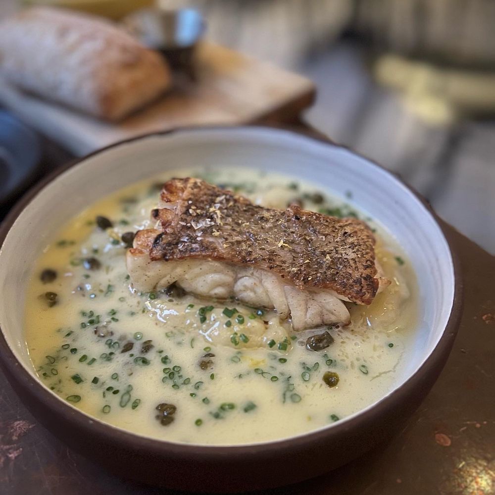 Valentina - Grouper in a lemon butter sauce & mashed potatoes - Seafood Near Me - Encinitas, California Valentina - Grouper in a lemon butter sauce & mashed potatoes - Seafood Near Me - Encinitas, California
