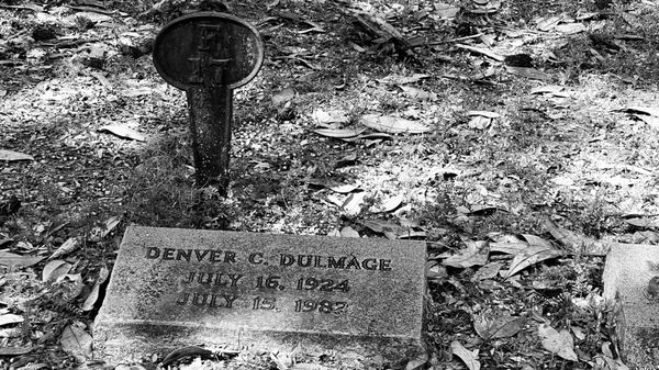 Bonaventure Cemetery by null