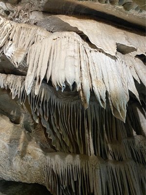 Boyden Cavern Adventures & Tours LLC. by null