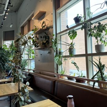 Pono Ono Poke - Eating area - Poke Near Me - Evanston, Illinois Pono Ono Poke - Eating area - Poke Near Me - Evanston, Illinois
