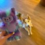 Kim's Pampered Pets