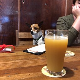 Sun Fade Ipa